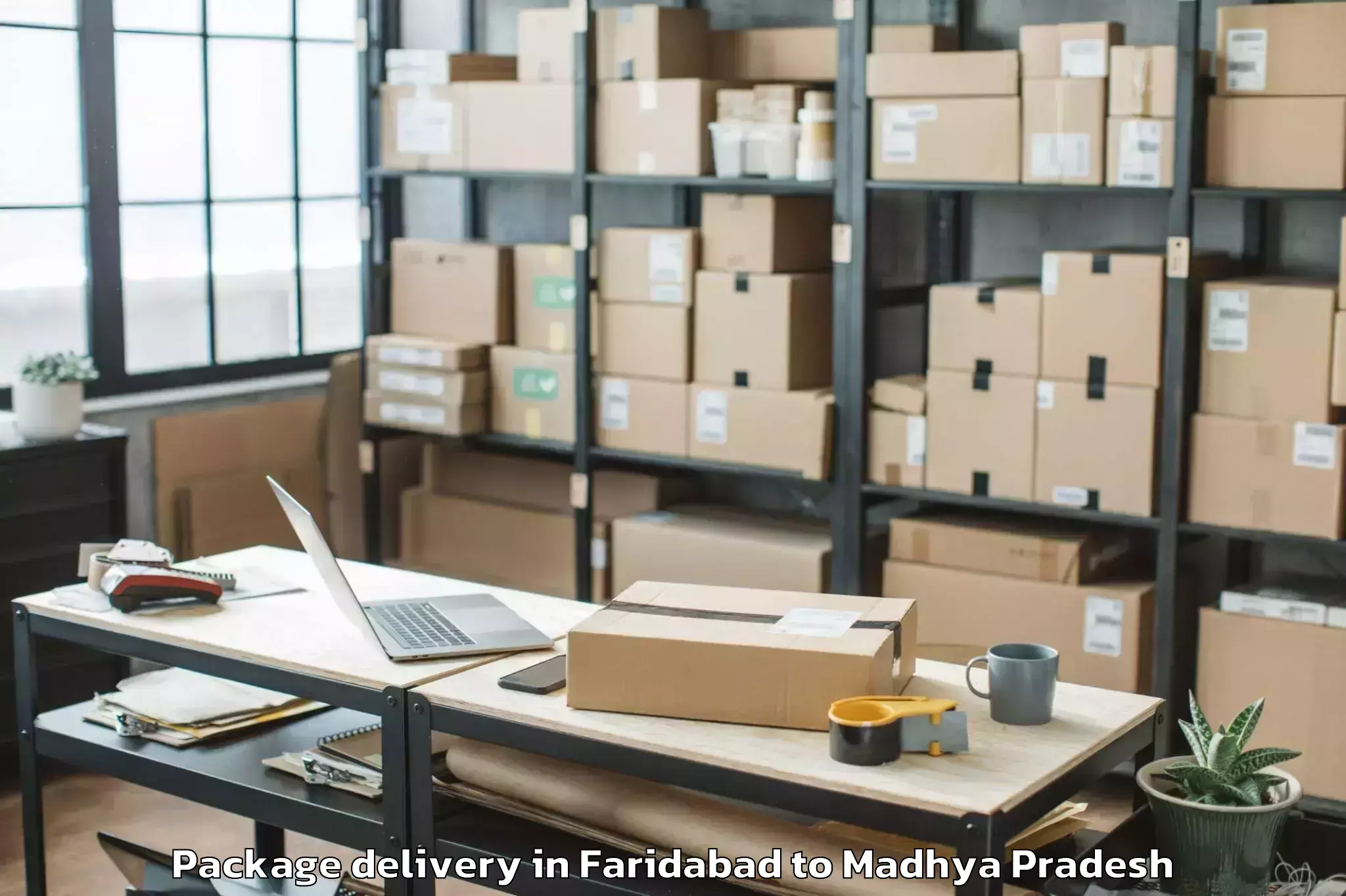 Book Faridabad to Aron Package Delivery Online